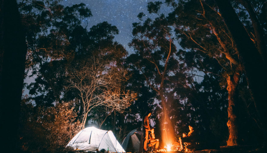 Telt under skog og stjernenatt. Foto: Jonathan Forage, Unsplash