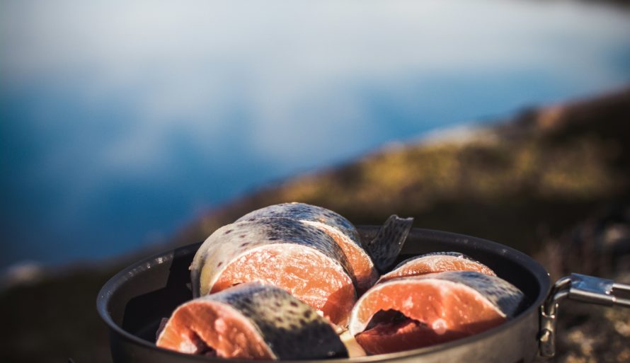 Fanger du fisken sjøl på fjellet er maten helt avfallsfri
